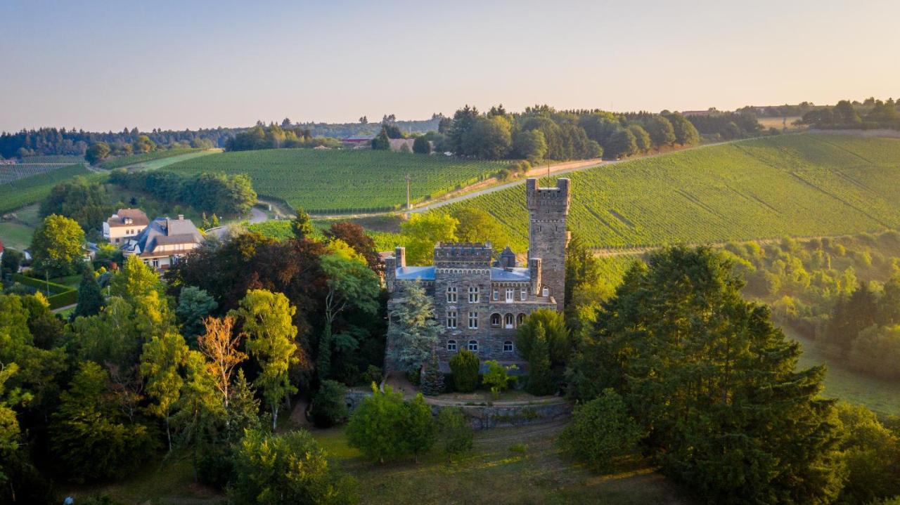 Saar Castle - Cozy Mansion Near Vineyard Villa Serrig Bagian luar foto