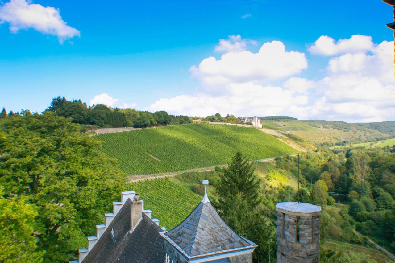 Saar Castle - Cozy Mansion Near Vineyard Villa Serrig Bagian luar foto
