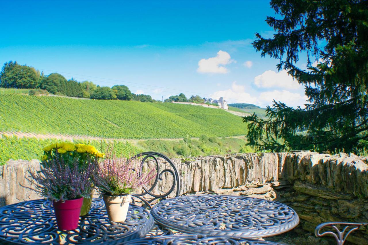 Saar Castle - Cozy Mansion Near Vineyard Villa Serrig Bagian luar foto