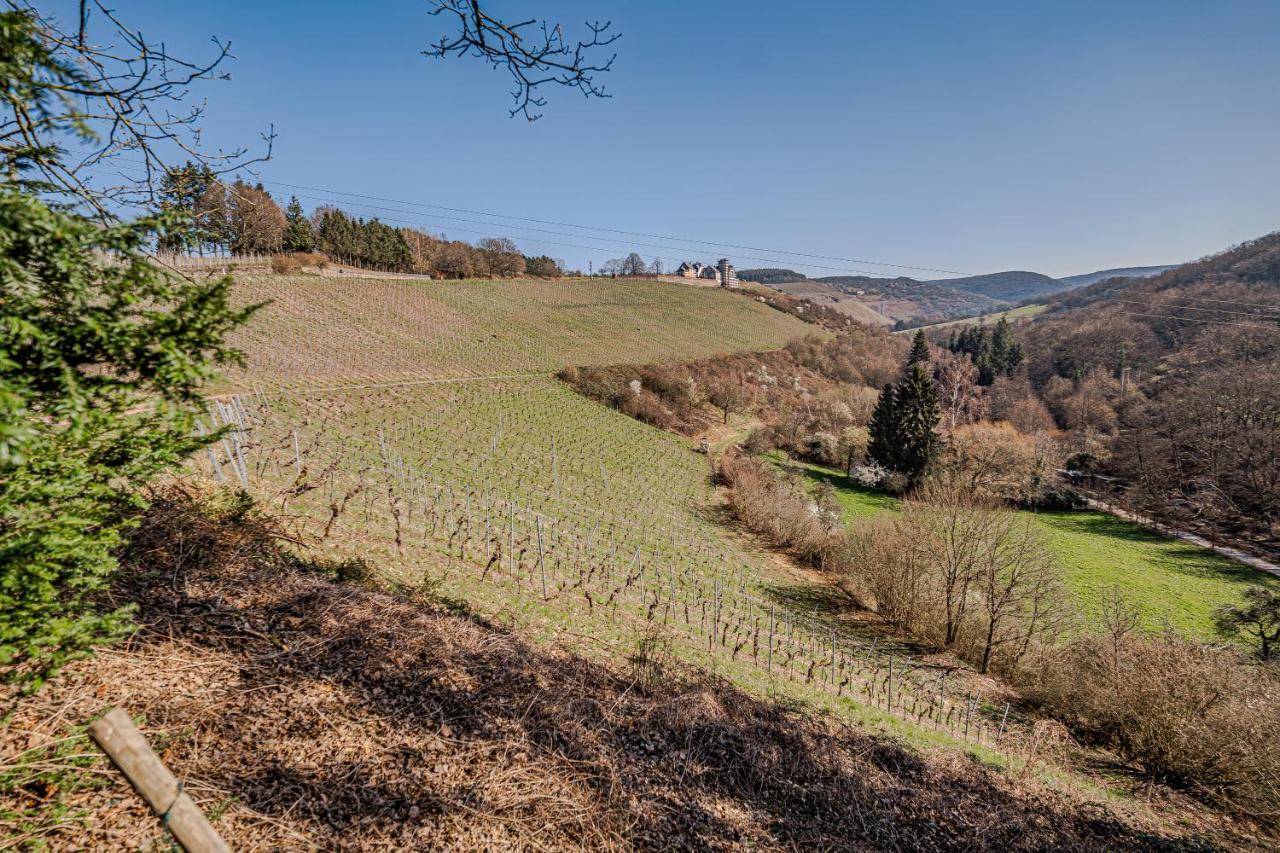 Saar Castle - Cozy Mansion Near Vineyard Villa Serrig Bagian luar foto